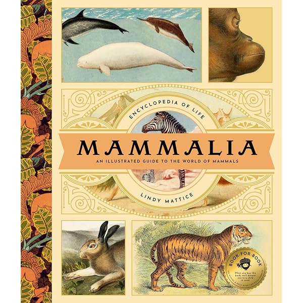 All the Mammals of the World: Lynx Nature Books: 9788416728664