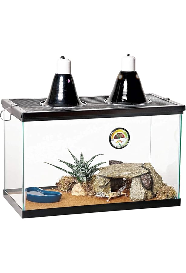 reptihabitat gecko kit