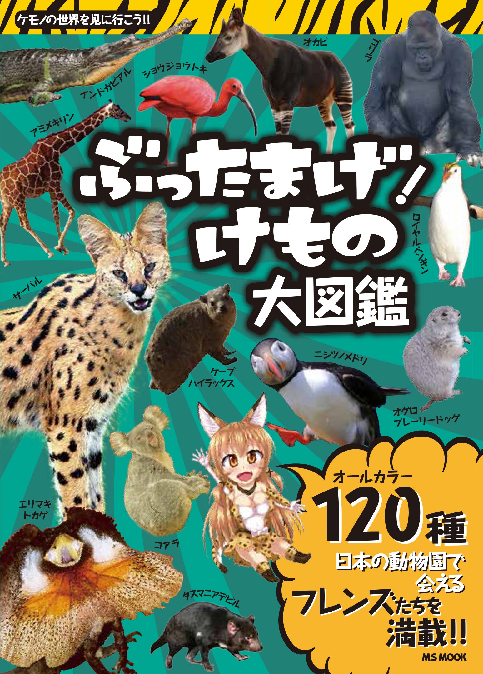 ぶったまげ けもの大図鑑 Msムック Amazon Com Books