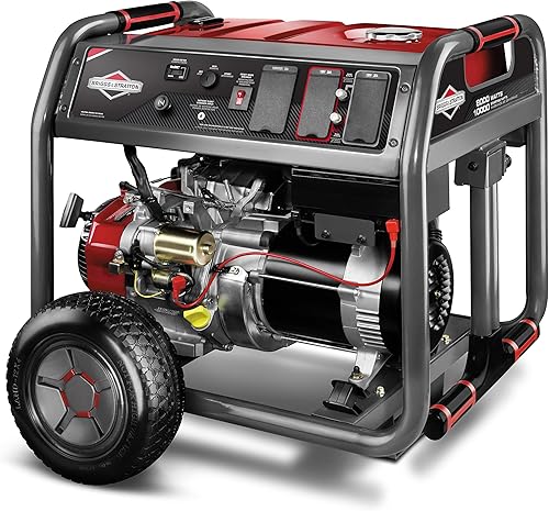 Briggs & Stratton 30664 8000W Generator
