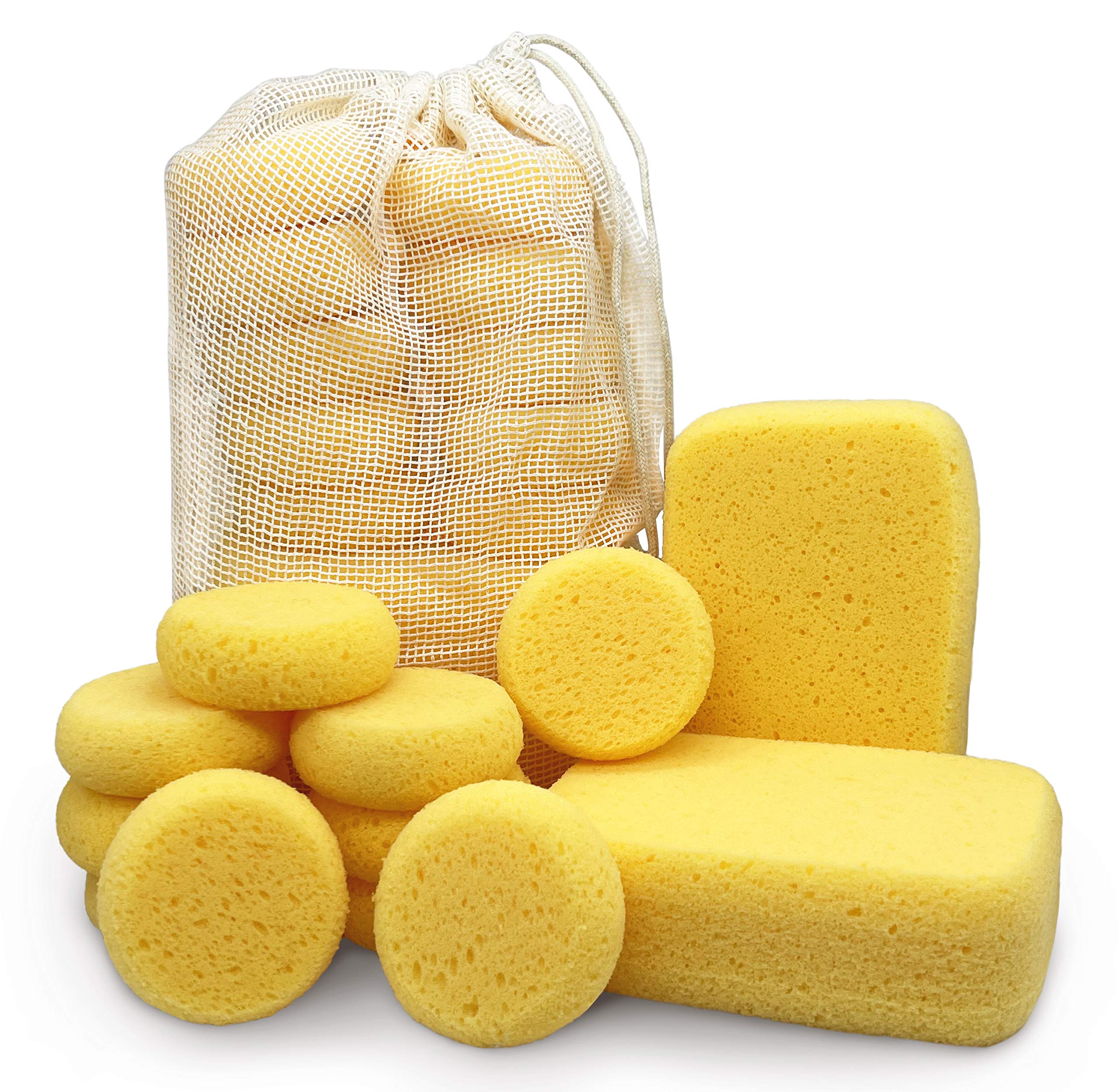 Premium Synthetic Horse Tack Sponges - with Cotton Bag; 12pc Value Pack for Saddles, Bridles, Boots and Leather Care (2x Rectangular, 10x Round) by Equus Constantia