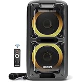 dolphin dual 10 inch rechargeable bluetooth speaker