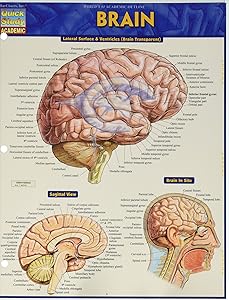 kindle best category lists