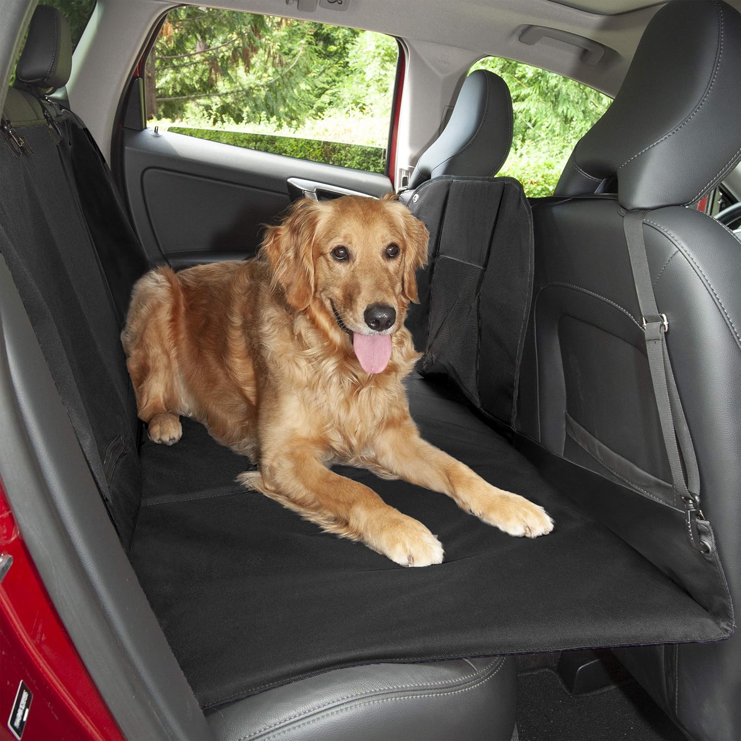 best and worst dog foods