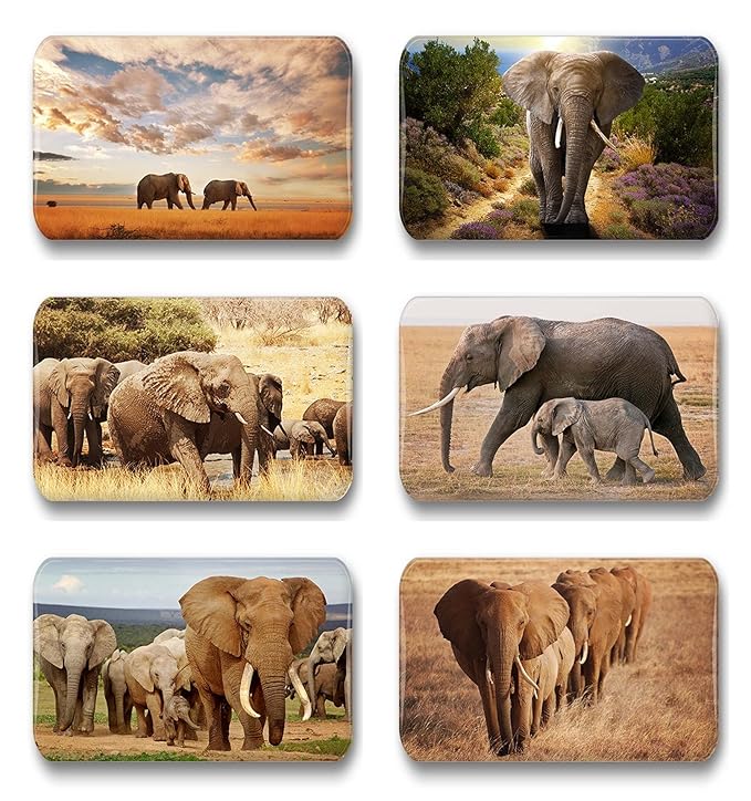 Merchandise for Fans Elefant/Elefanten - 6 rechteckige