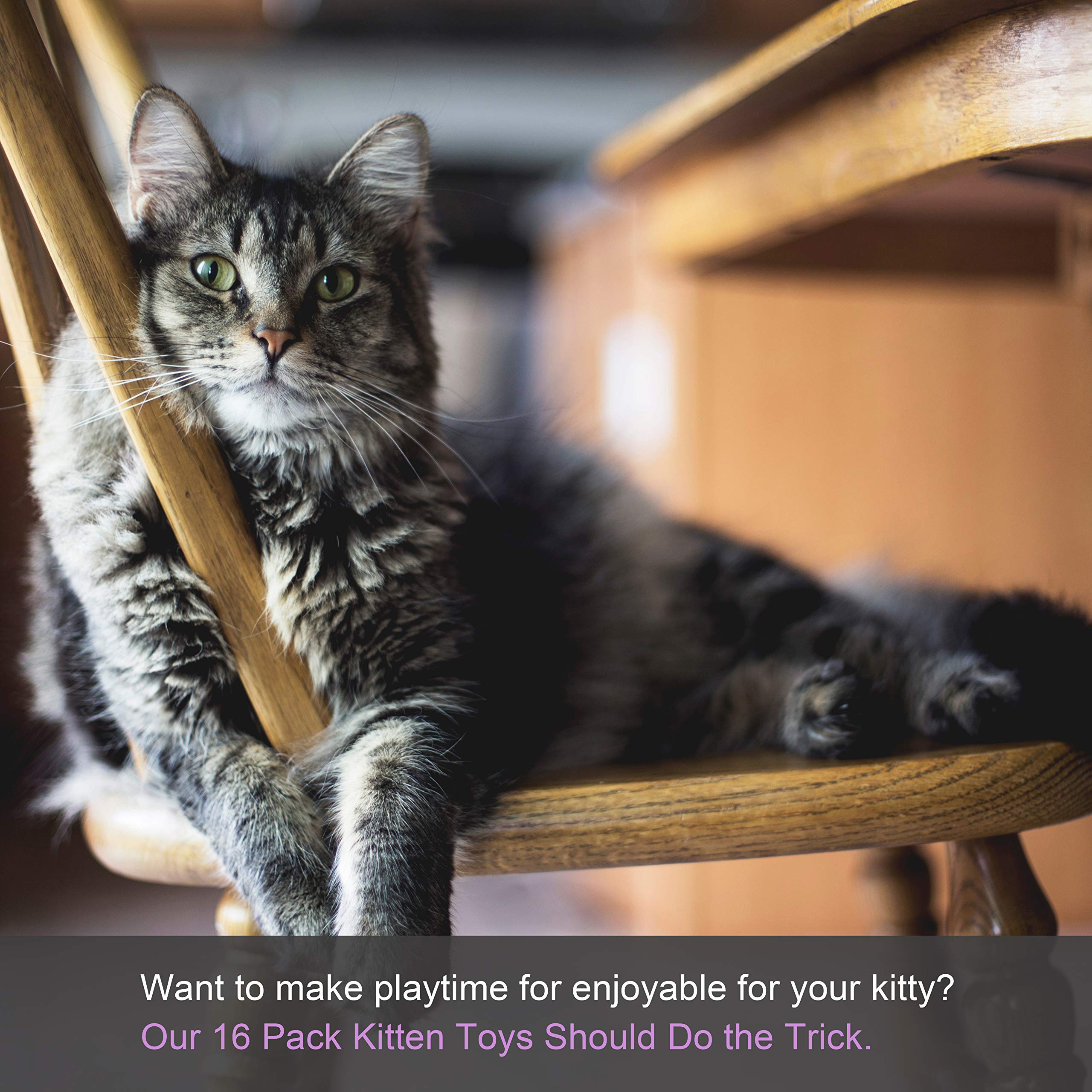 Cottia 16PCS Cat Toys Variety Pack - 2 Way Tunnel, Fluffy Mice, Cat Teaser, Tumbler, Spring Balls, Interactive Play & Exercise Kitten Toys Cat, Kitty (Color May Vary)