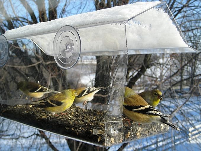 Window Bird Feeder Wild Bird Feeder Accessories Garden