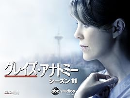 Amazon Co Jp グレイズ アナトミー シーズン11 字幕版 を観る Prime Video