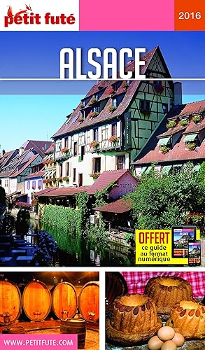 Download Petit Futé Alsace PDF