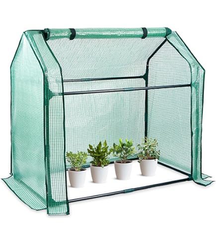 Amazon.com : Mini Greenhouse Indoor, 36x19x34(H) Inches