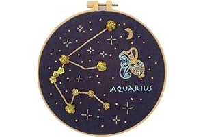 mozhijing Constellation Embroidery Kit for Adults with Stamped Pattern, Round Beads for Embroidery DIY Crafting,Cross Stitch Beginner Kits with Frame,Aquarius Embroidery Kit.