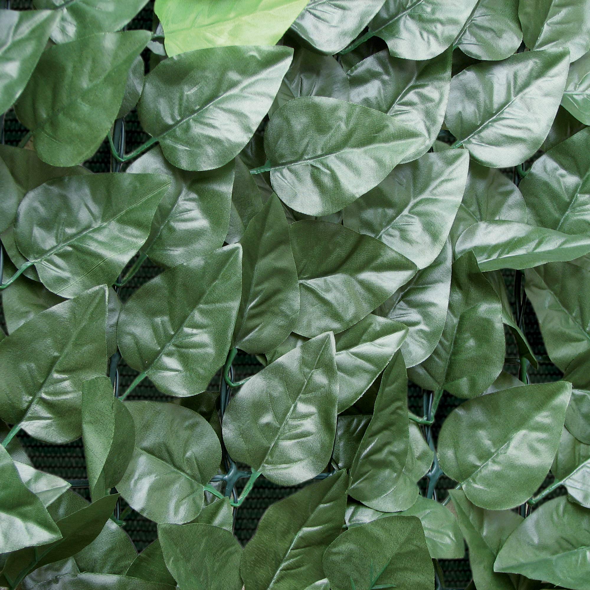 Tenax 1A100484 Divy Laurus Net Artificial Hedge Green