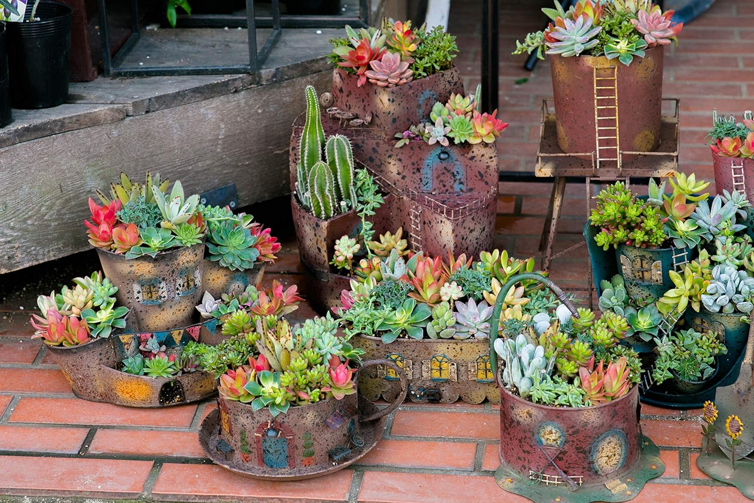 Amazon ジブリ風 多肉植物 寄せ植え セット かわいい インテリア グリーン 観葉植物 ジオラマポットj 観葉植物 オンライン通販