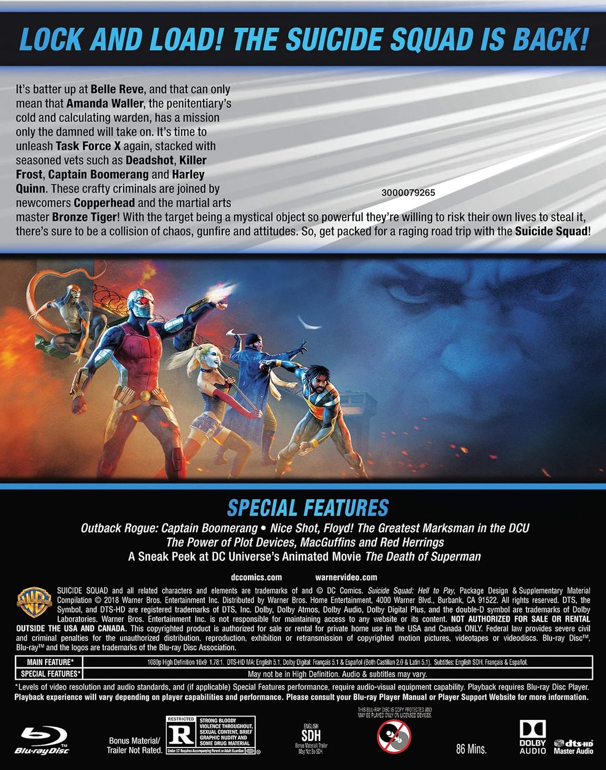 Amazon Com Dcu Suicide Squad Hell To Pay Blu Ray Various