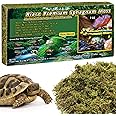 Riare 7 OZ Premium Sphagnum Moss for Reptiles- 10QT Natural Live Moss Reptile Moss Bedding for Terrarium, Hatching, Forest Sphagnum Moss Reptile Substrate for Snakes, Gecko, Turtles, Frogs, Leopard