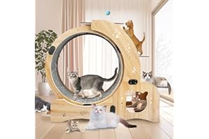HAUSWAY 55 Inch Cat Exercise Wheel with Cat Bed, Scratching Board, Detachable Mat, Climbing Frame, Nest & Toys - 6-in-1 Multi-Functional Indoor Pet Activity Center for Running/Walking/Training