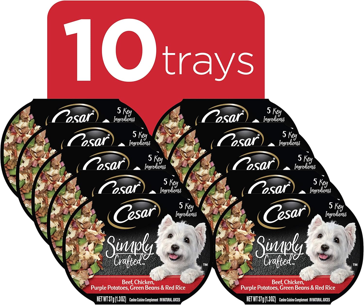 Cesar Filets In Gravy Rotisserie Chicken Flavor Wet Dog Food 3 5 Oz Case Of 24 Petco