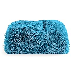 Bedsure Soft Bright Blue Twin Blanket for