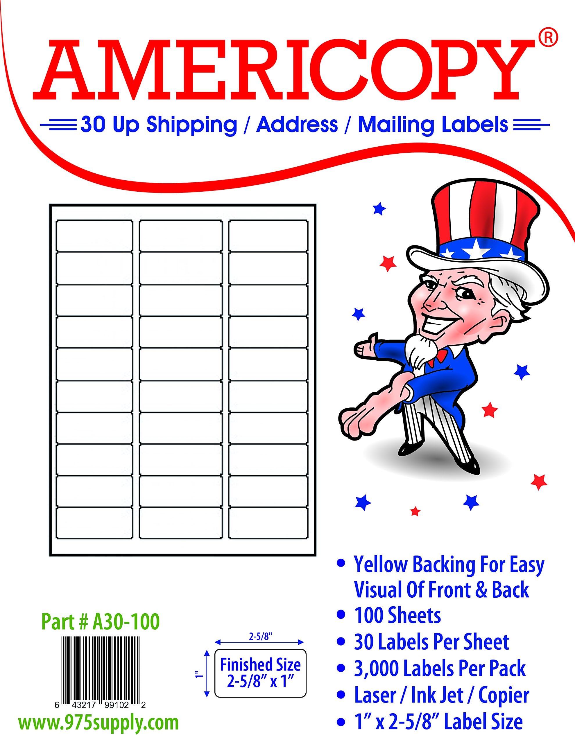5 Packs X 3,000 Label Name and Address Labels, 2-5/8" x 1", Same Size as Template 5160 (Total 15,000 Labels)