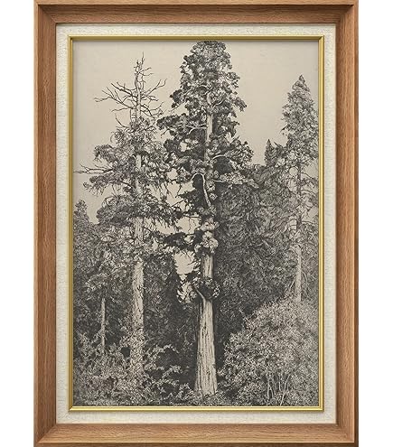 Amazon.com: SIGNWIN Premium Frame Art Antique Forest