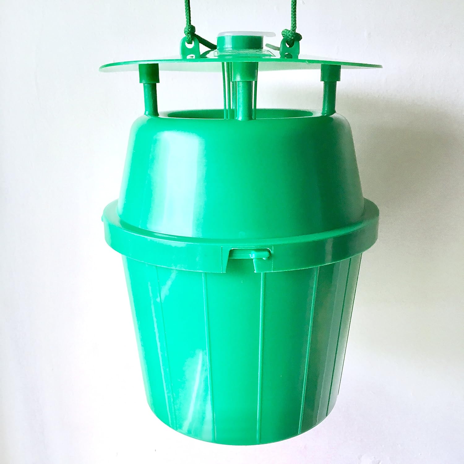 Box Moth Trap Amazon.co.uk Garden & Outdoors