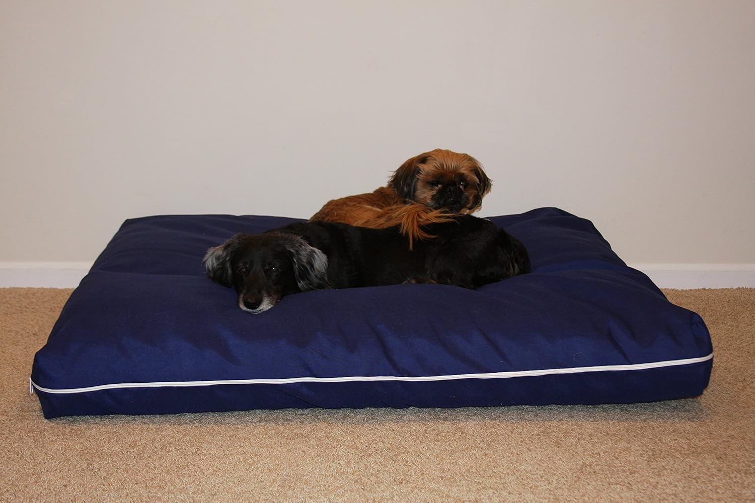 shredded memory foam dog bed