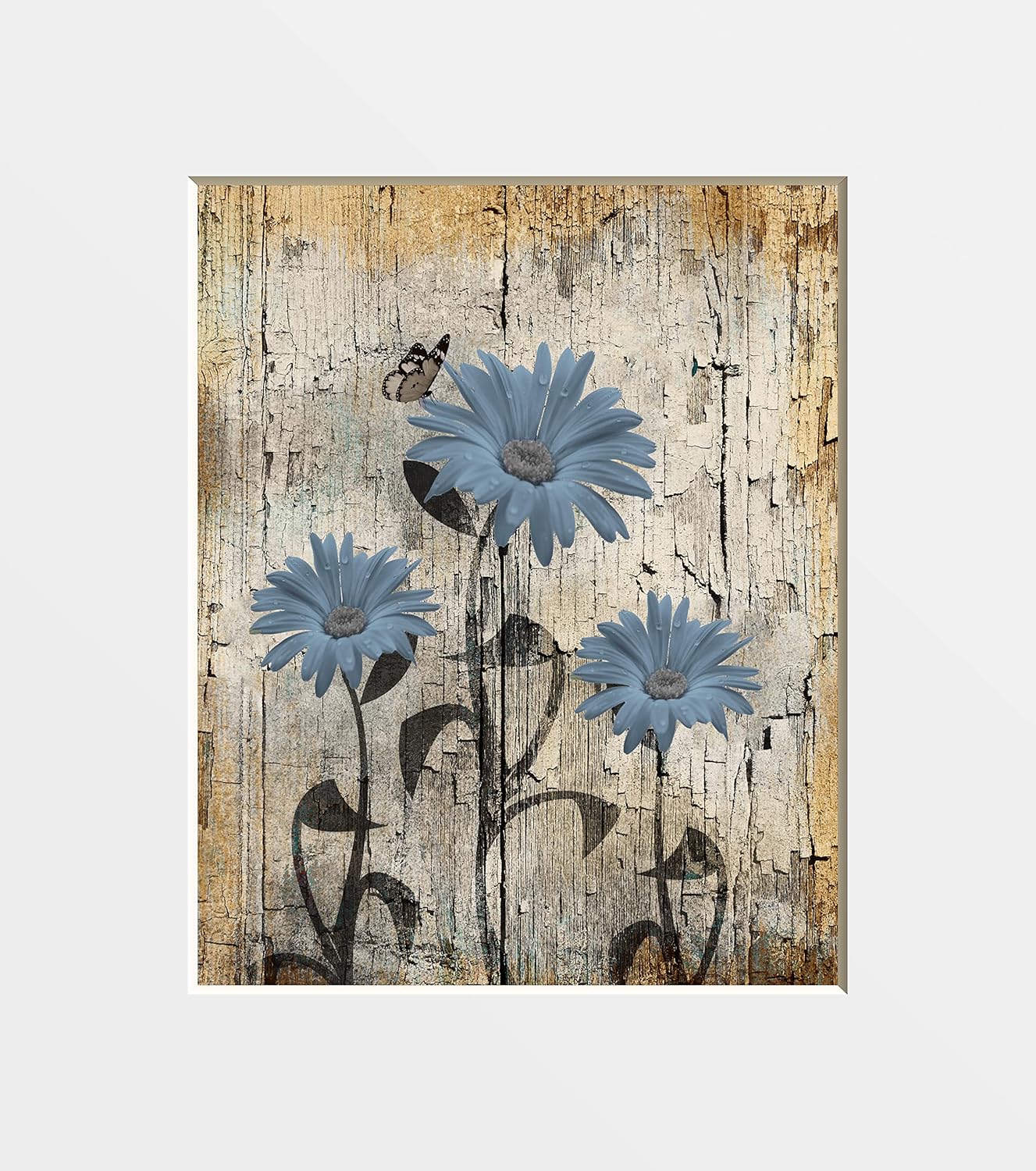 Photographs - Brown Blue Daisy Flowers Rustic Modern Photography Photo Art Matted Wall Decor Picture