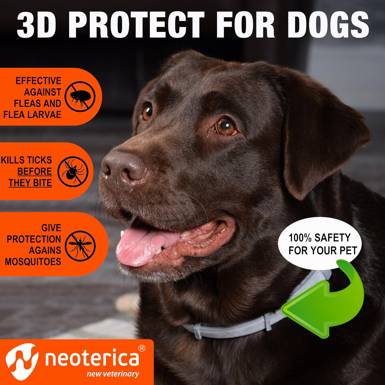 Reviews Rolf Club 3D FLEA Collar for Dogs Flea and Tick Prevention