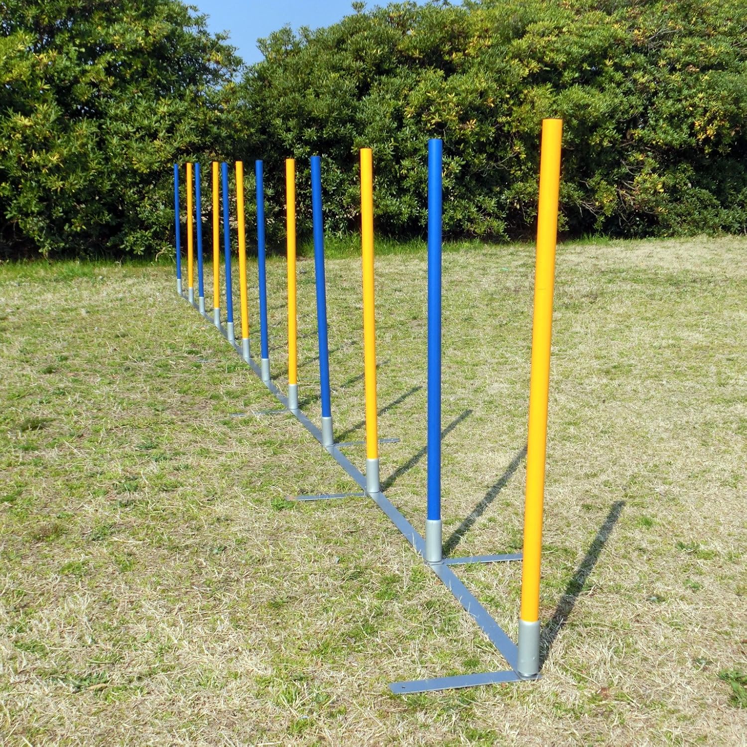 運動器具 B07df86fhd 自立組立式 ドッグアジリティ しつけ 12本ポール 競技用スラローム 訓練 障害物 ドッグラン 持運びキャリーバッグ付き 犬用 トレーニング 犬用アジリティ運動器具 超人気の