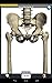 Anatomy Quiz Lite