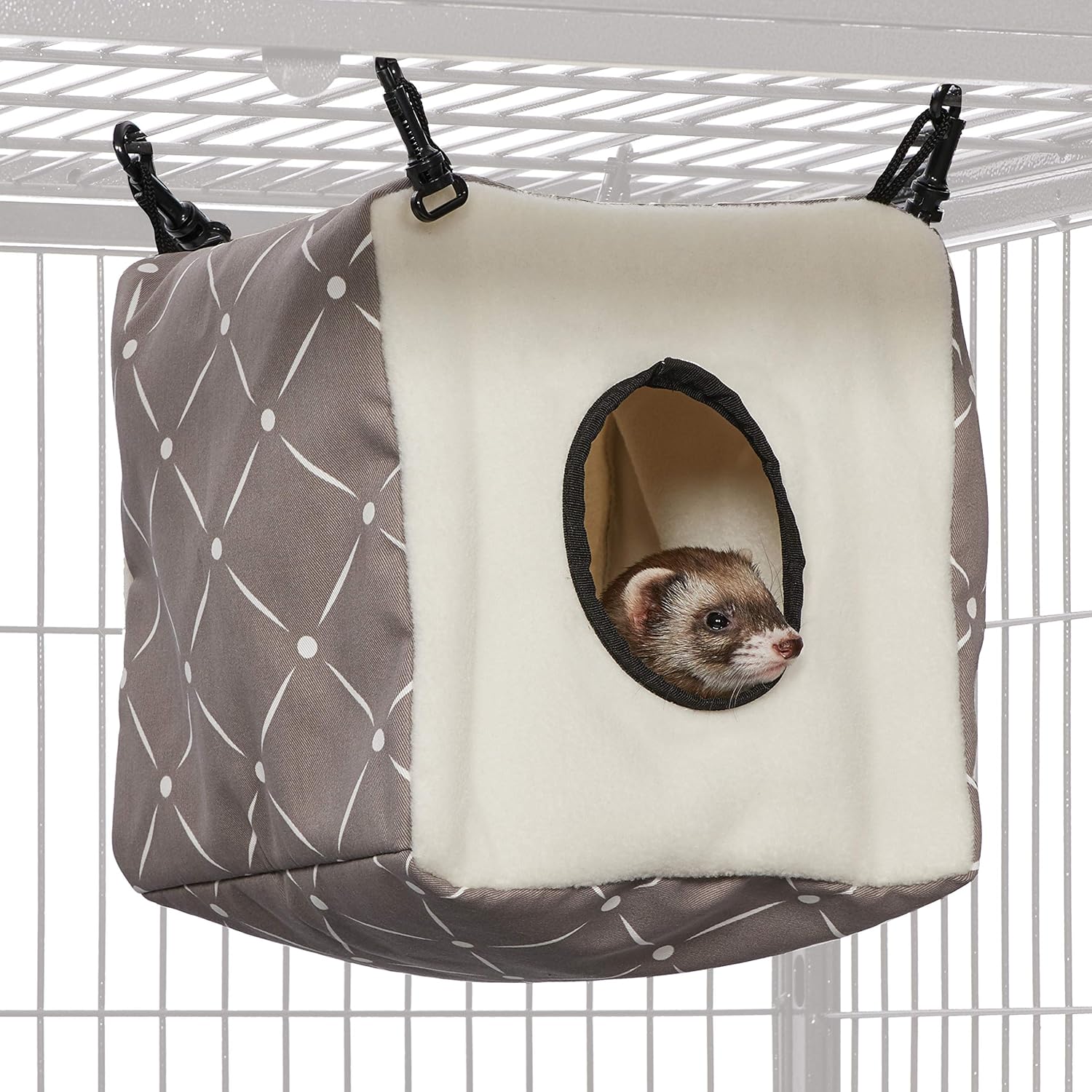 ferret homes