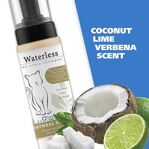 WAHL USA CAT WATERLESS SHAMPOO FOR SOOTHING DAMAGED SKIN, REFRESHING, CLEANING, AND REMOVING ODORS BETWEEN BATHS – 7.1 OZ – MODEL 820015-500