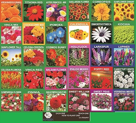 Krisah (5220 +)30 Varieties of Flower Seeds with Instruction Booklet Outdoor Plant(30)