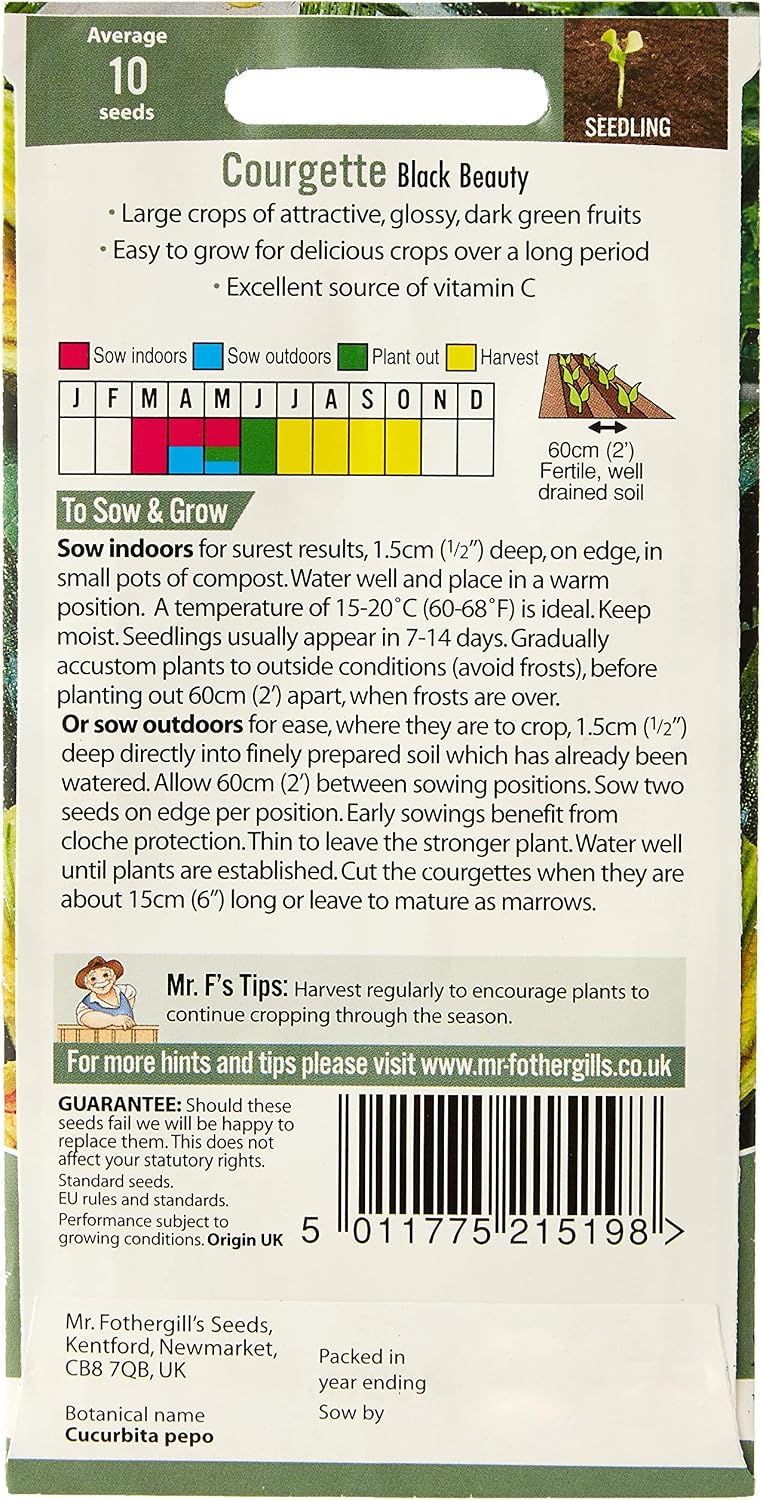 Mr Fothergill's 13468 Vegetable Seeds, COURGETTE Black Beauty, Dark Green - Image 3