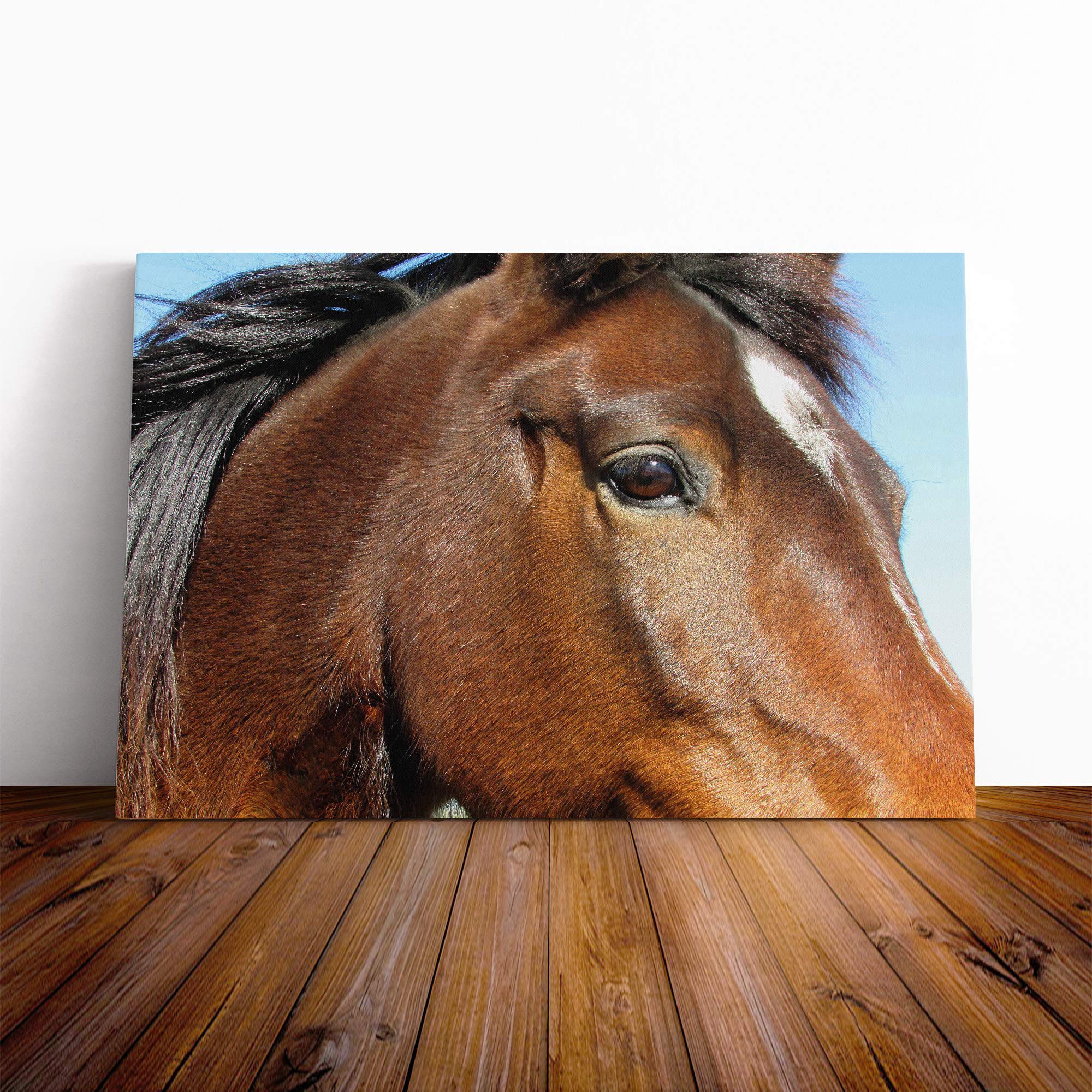 Brown Horse Canvas Print | Gallery Wrapped 30mm Frame Wall Art | 20x14 inches | Ready to Hang | Modern Animals Picture | Living Room Bedroom Lounge Office