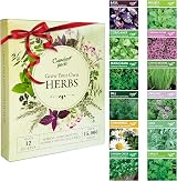Garden Pack 12 Herb Seeds Variety 15000 Heirloom Seeds Starter Kit view 1