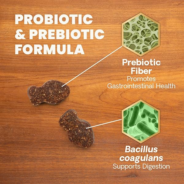 VETRISCIENCE GUT HEALTH CHEWS, PROBIOTIC EVERYDAY DIGESTIVE SUPPLEMENT FOR CATS, PET PROBIOTICS FOR DIGESTION SUPPORT, GAS AND DIARRHEA, IMMUNE SUPPORT, 120 MILLION CFU PER CHEW, DUCK, 60 COUNT