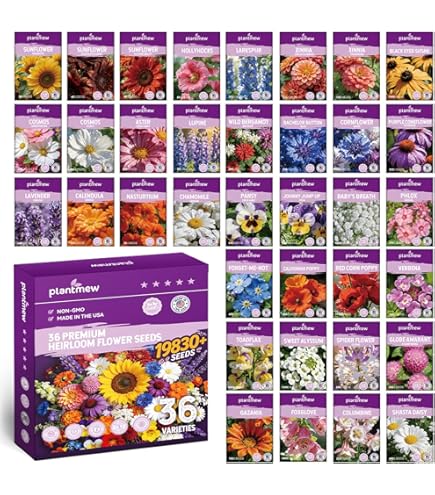 bougainvillea plant seeds Delta Dawn Bougainvillea Flower Seeds for Planting