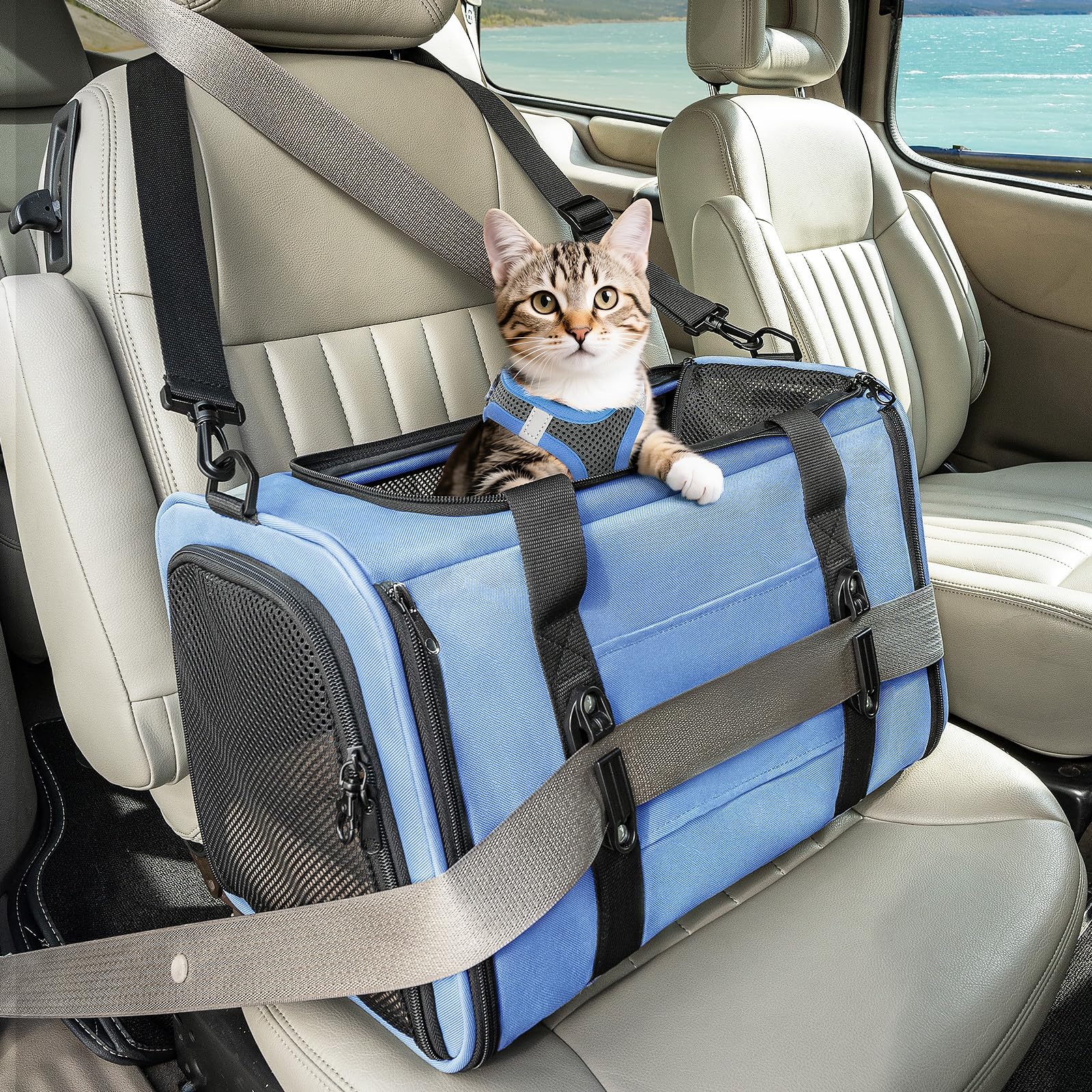 Petsfit Cat Car Carrier, Puppy Travel Carrier with Upgraded Patented Safety Buckle, Portable Dog Transport Sling,Kitten Travel Bag with Shoulder Strap&Removable Mat，Blue