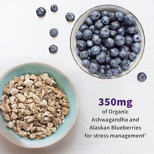 GARDEN OF LIFE DR. FORMULATED PROBIOTICS MOOD+ ACIDOPHILUS PROBIOTIC SUPPLEMENT – PROMOTES RELAXATION AND DIGESTIVE BALANCE – ASHWAGANDHA FOR STRESS MANAGEMENT – 60 VEGETERIAN CAPSULES
