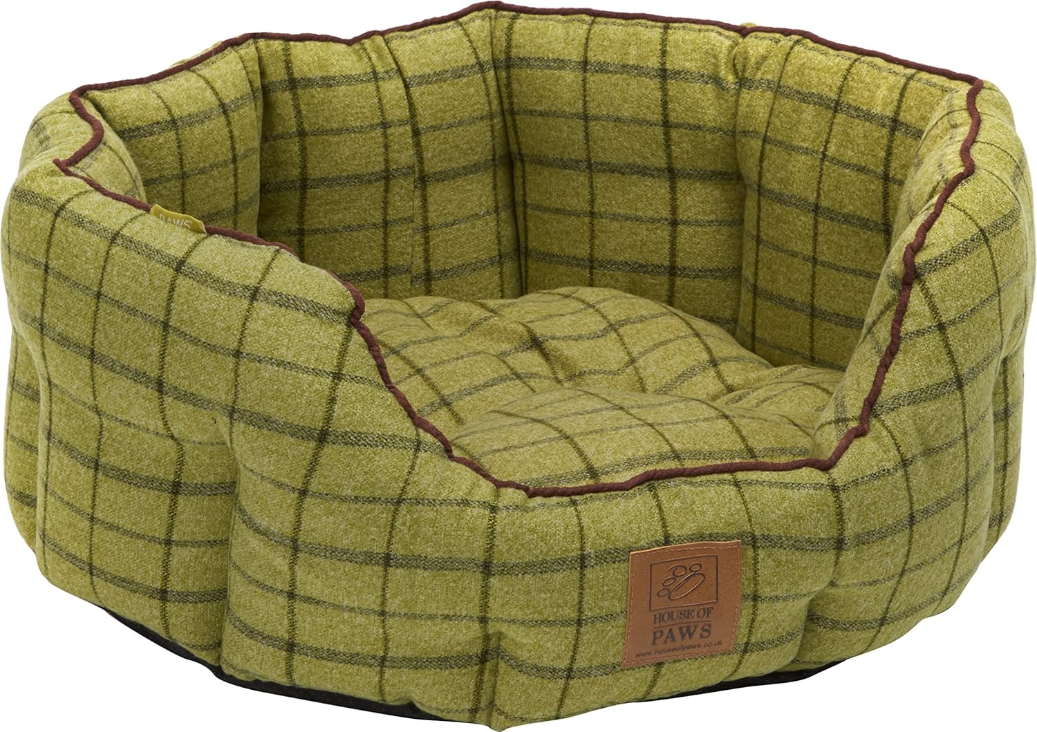 taking care of a husky puppy