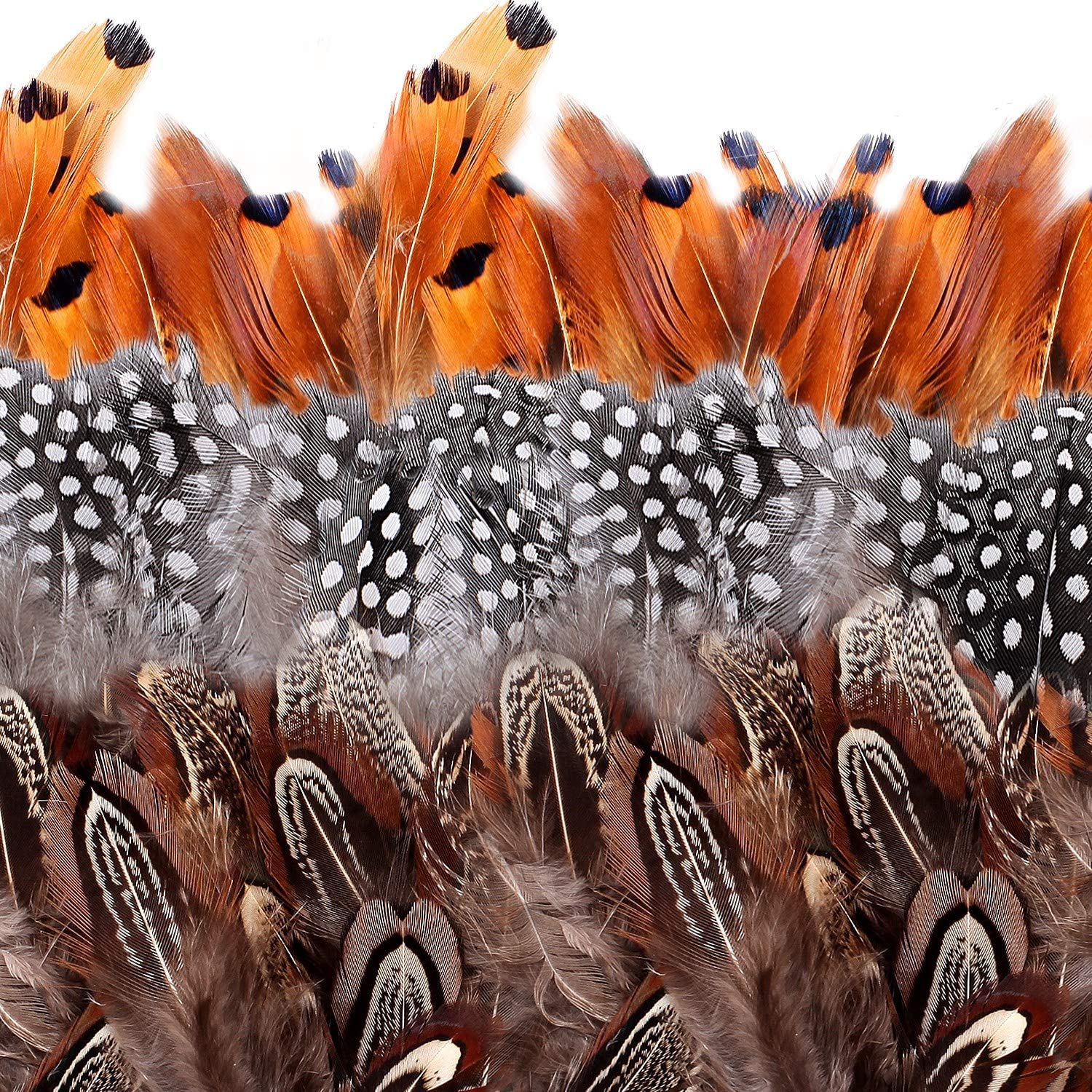 camelize Brown Feathers, 350pcs Natural Speckled Feathers for DIY Dream Catcher Crafts, costumes, hats, handicrafts, home decor, Halloween, DIY decoration (Length 2-3.2")