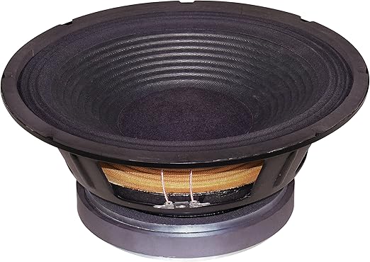 Altavoces PA caja del subwoofer 300 mm 250W 8 Ohm: Amazon.es: Hogar