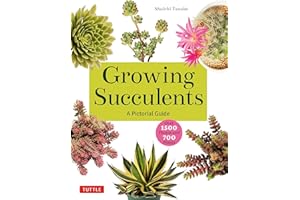 Growing Succulents: A Pictorial Guide (Over 1,500 photos and 700 plants)