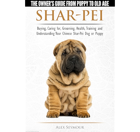 shar pei free to good home