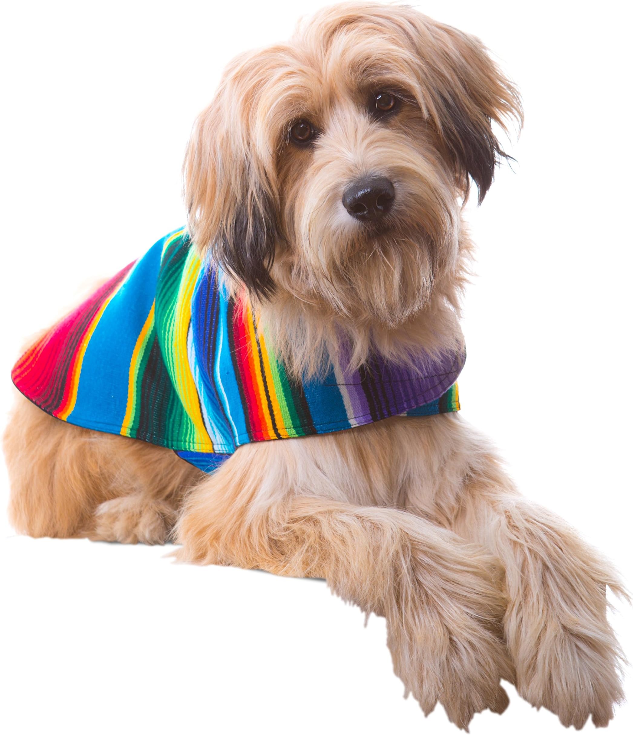 Handmade Dog Poncho from Mexican Serape Blanket - Southwestern and Tie Dye Dog Clothes - Coat - Costume - Sweater - Vest