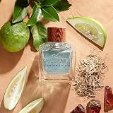 Hollister Canyon Escape for Him Eau de Toilette 30ml view 3
