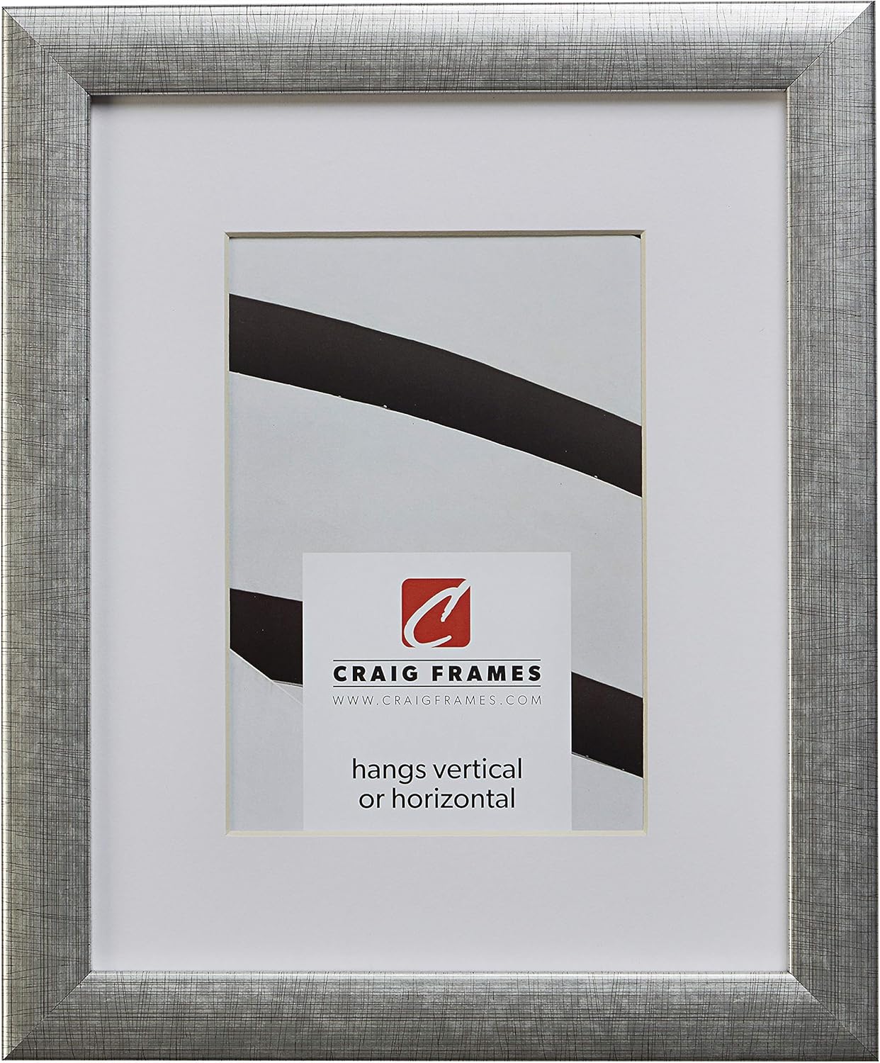 Craig Frames 23247944 24 x 36 Inch Scratched Silver