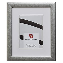 Craig Frames 23247944 8 x 10 Inch Scratched Silver