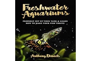 Freshwater Aquariums: Properly Set Up Your Tank & Learn How to Make Your Fish Thrive